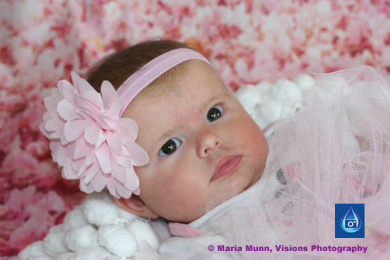 New Family and Baby Photography Shoots