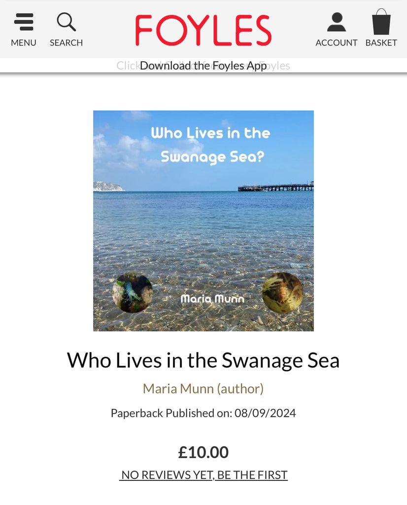 Who Lives in the Swanage Sea has made it to Foyles in London and Waterstones