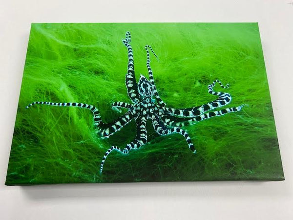 Print Your Photo on Canvas