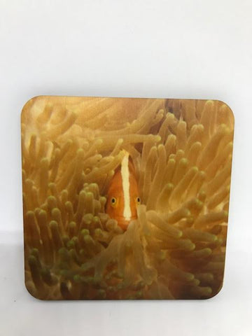 Your Photo as a Wooden Coaster