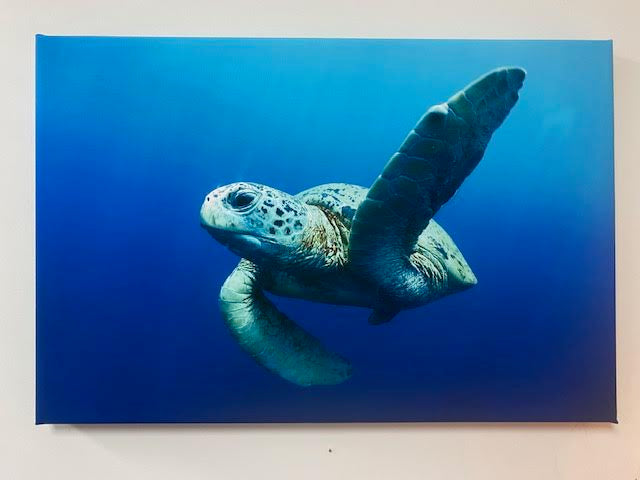 Print Your Photo on Canvas