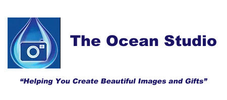 The Ocean Studio