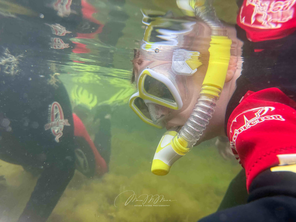Snorkelling Course at Swanage Pier