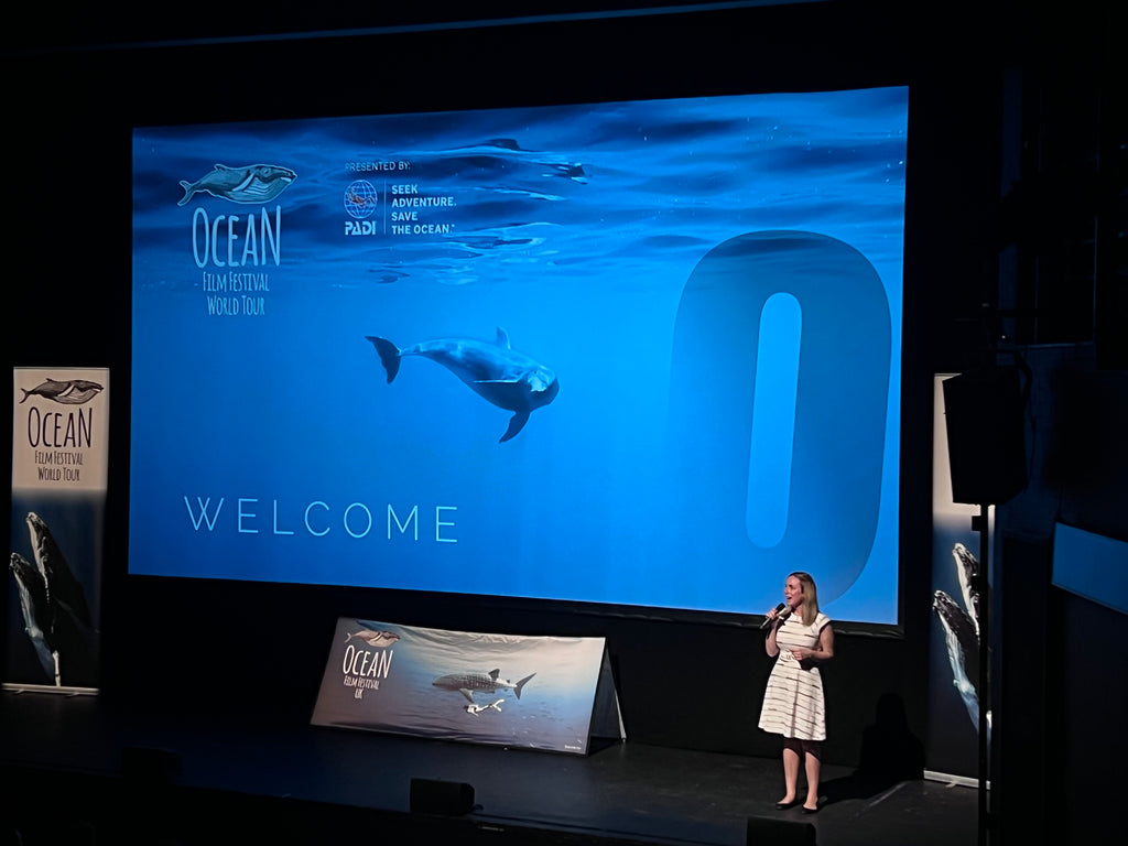 The Ocean Film Festival Comes to Poole Lighthouse