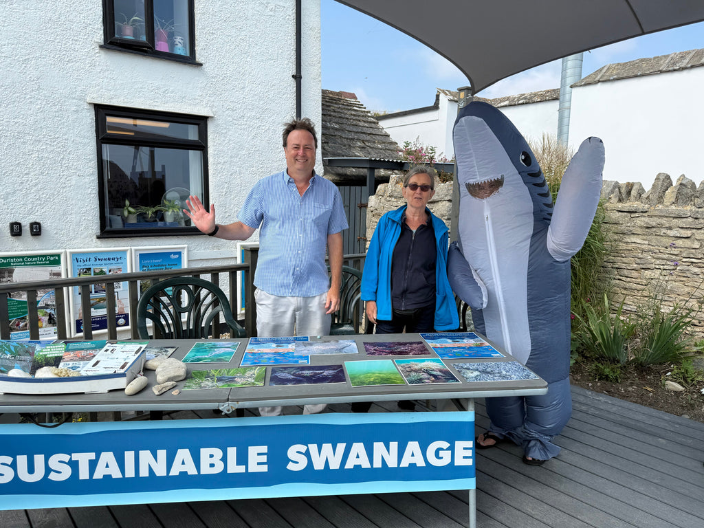 Sustainable Swanage BioBlitz - Motion for the Ocean