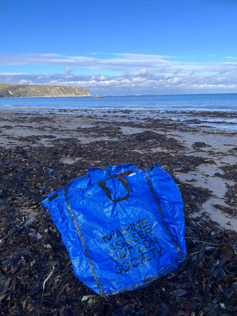 My Biggest Ever Beach Clean