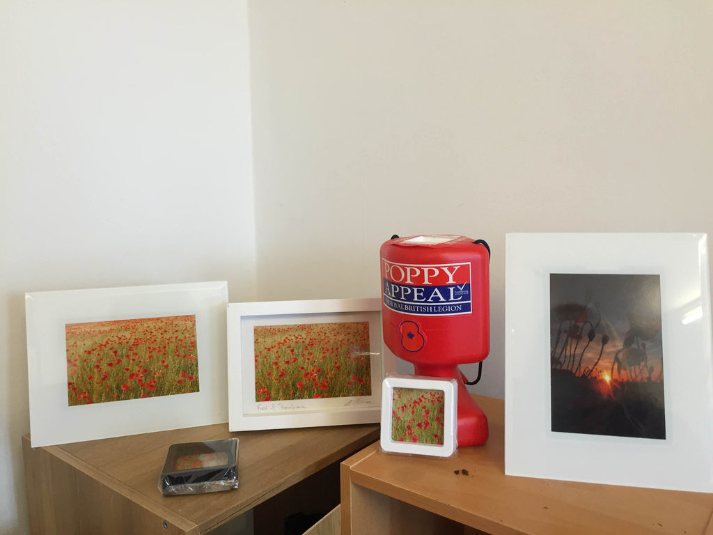 Poppy Prints and Fridge Magnets