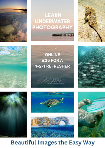 Online 1 Hr Tailor-Made Underwater Photography Refresher Course for Snorkellers/Divers