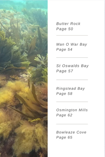 Snorkel Dorset Paperback Book - Pre-Order for Release Date 30 September 2025