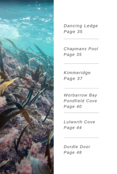Snorkel Dorset Paperback Book - Pre-Order for Release Date 30 September 2025