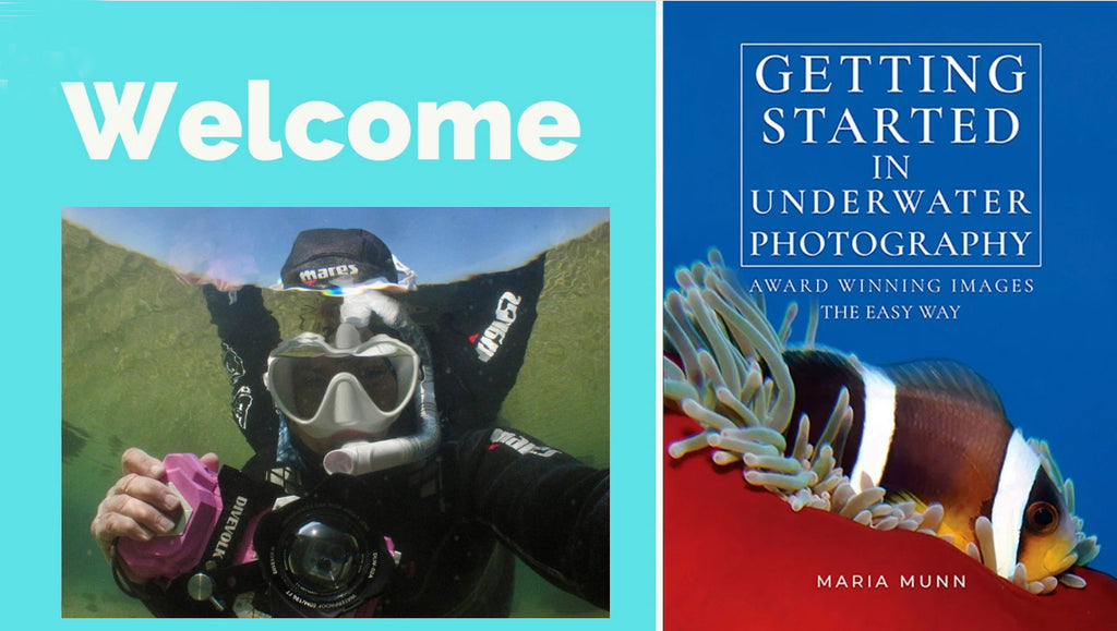 Getting Started in Underwater Photography for Snorkellers/Divers - Online Workshop 27 August - 6 to 8 pm