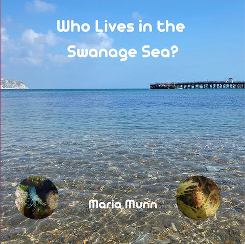 Who lives in the Swanage Sea?