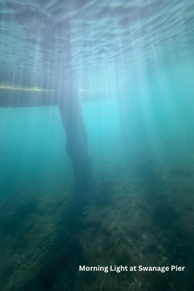 Snorkel Dorset Paperback Book - Pre-Order for Release Date 30 September 2025