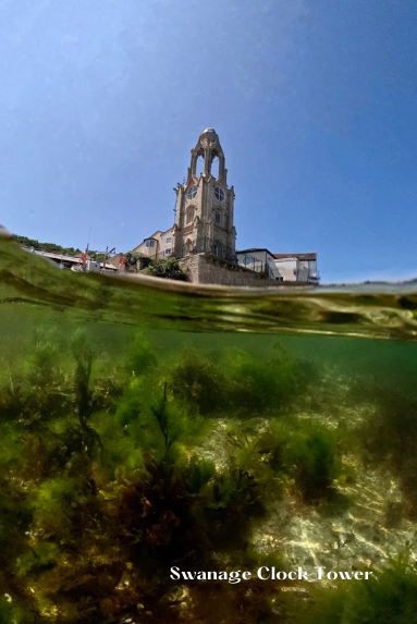 Snorkel Dorset Paperback Book - Pre-Order for Release Date 30 September 2025