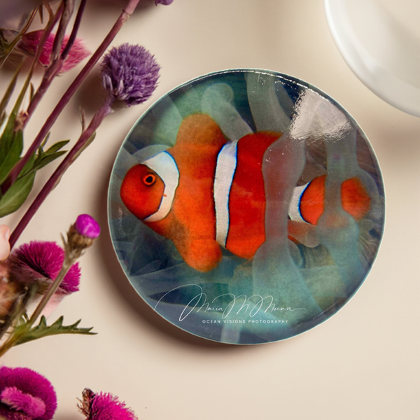 Anemonefish Ceramic Coaster