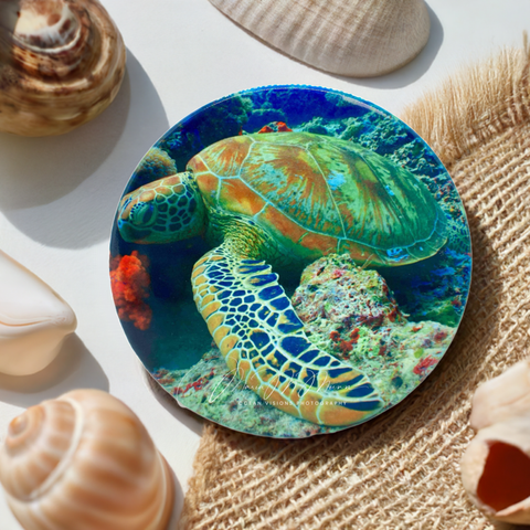 Turtle Ceramic Coaster